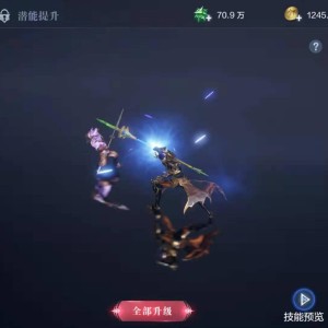 全民奇迹怎么戴两把法杖